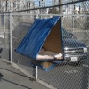 Urban Bivouac - Life Sized