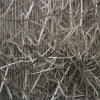 Stripped