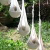 The Songbird Take-Out Shelter