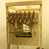 The Museum of Unnatural History