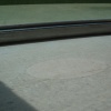 diurnal