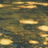 Nine Views of Water, Detail