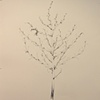 Root Atlas