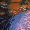 Nine Views II, Detail