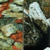 Water Rocks