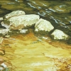 The Yellow Eddy, Study