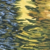 Up and Down, Detail