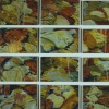 Untitled (River Rocks)