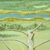 Dead Snag, Detail