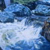 Fall Creek