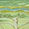 Dead Snag, Detail