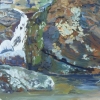 Kaaterskill, Study