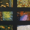 Nine Views II 