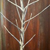 Transplant, Detail