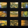 Nine Views of Water