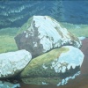Blue Pools, Detail