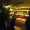kim reed snappin shots