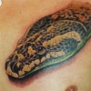 python