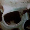 grey green skull