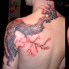 blossomtree