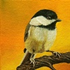 chick1