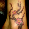 ankle blossoms