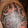 panther wind