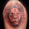 craigs lion