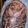 grey lotus