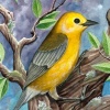 Prothonotary Warbler