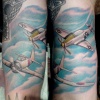 p51 vs zero