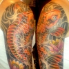 koi lotus