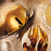 close up skull 2