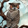 Great Horned Owl