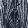 bio3