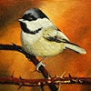 chick3
