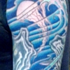 jellyfish