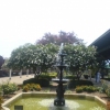 chattanooga 07
