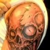 bio skull