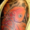 orange koi