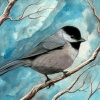 Carolina Chickadee