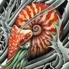 nautilus