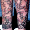 tammys cherry blossoms