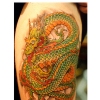dragon