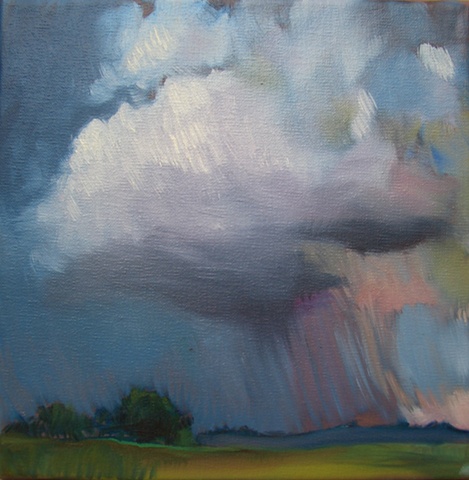 Summer storm over pasture