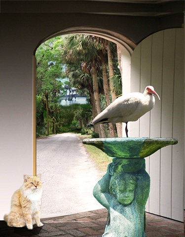 Ranji and ibis
