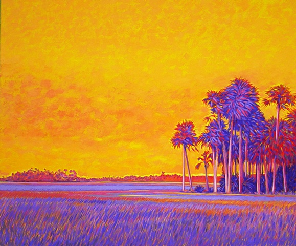 Aripeka Sunset