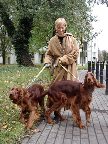 Polish Version of Walking the Dog
