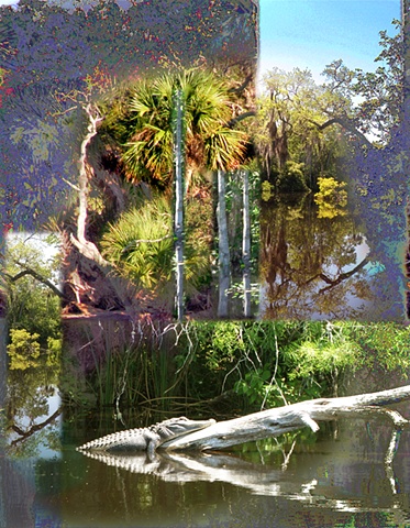Gator at Home