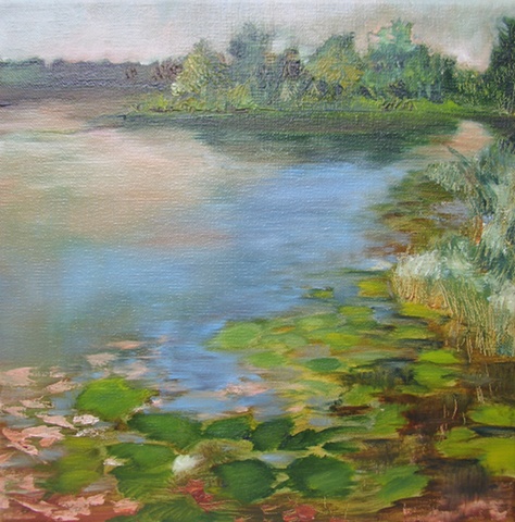 Lily pads on Lake Winnott